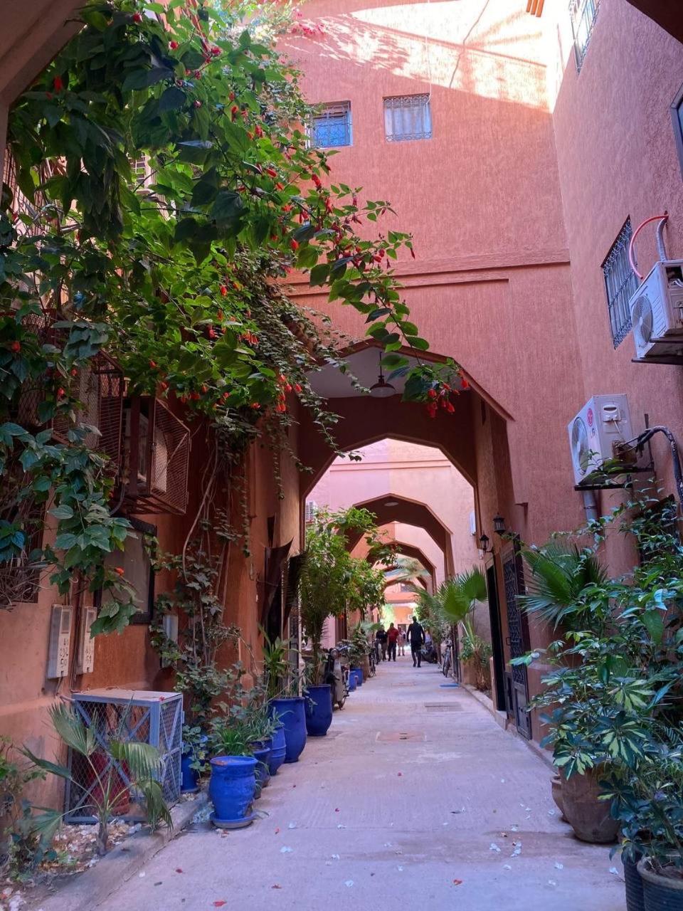 Qaria Syahia Camelia * Marrakesch